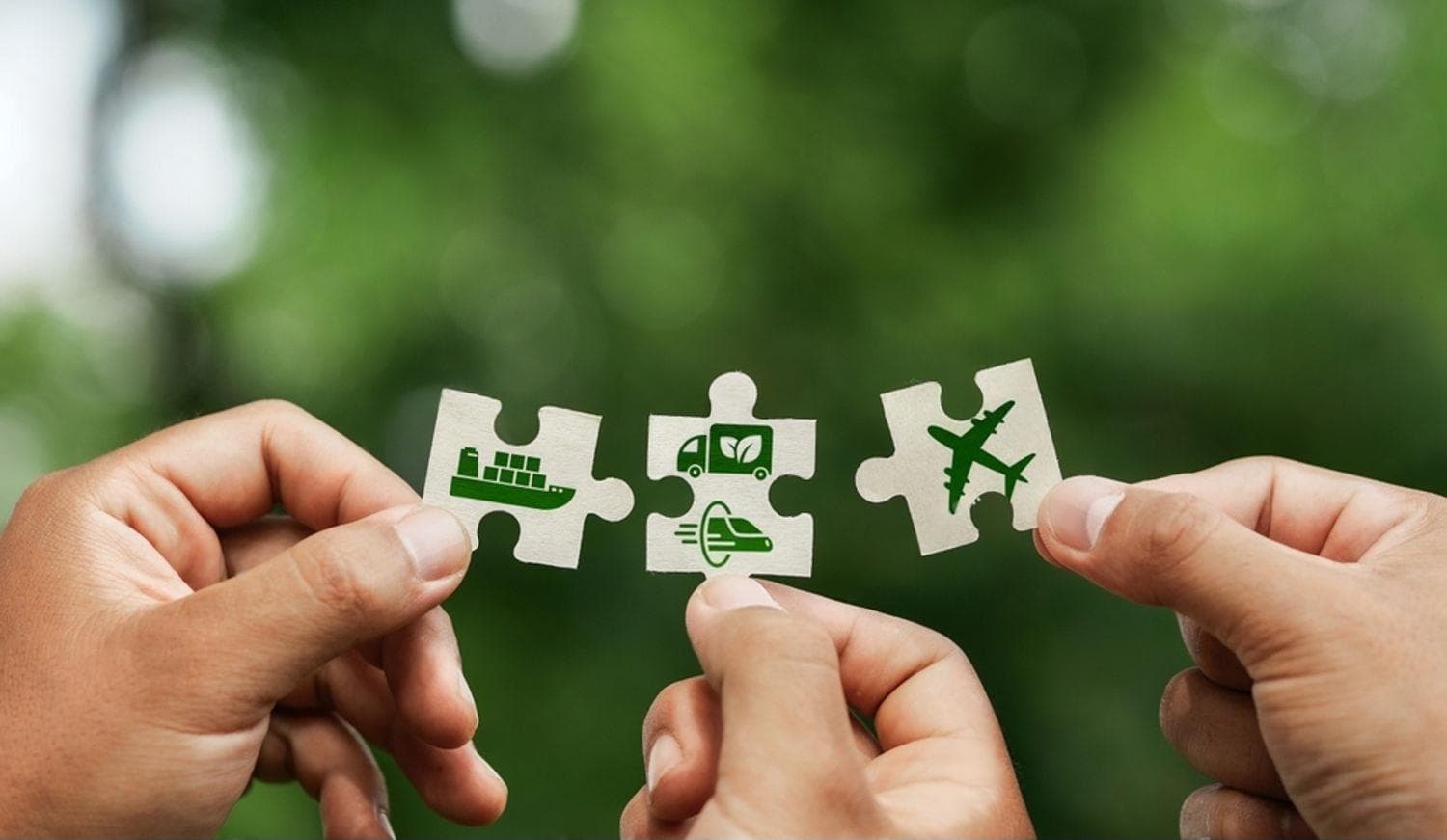 Third-Party Logistics (3PL)